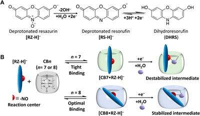 Modulation of redox reactivity of resazurin through host-guest complexation with Cucurbit[n]uril (n = 7, 8)
